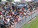 Healesville Races